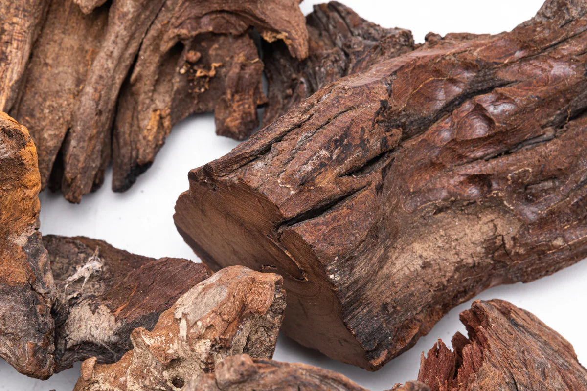 Driftwood Stumps - Extra Small (2–4 Inches)