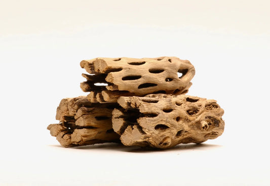 Cholla Driftwood Sticks